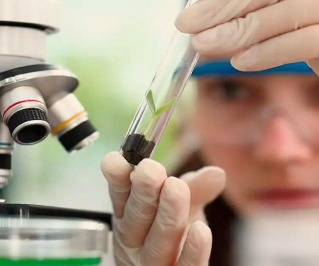 Prêmio Carolina Bori recebe inscrições de jovens cientistas até outubro