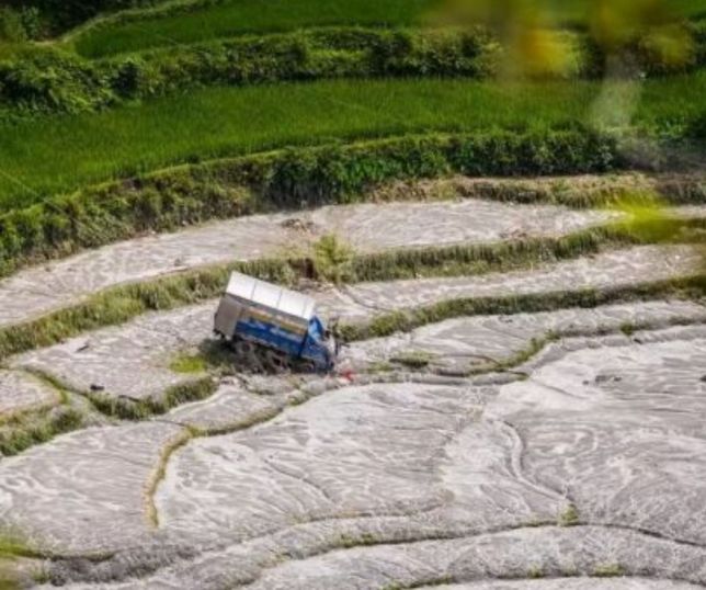 Crise climática ameaça produção de alimentos e pode aumentar conflitos, alertam estudos