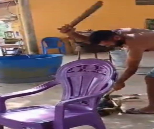 REVOLTA EM JACUNDÁ! Homem é flagrado agredindo cachorro e vídeo gera indignação: ‘Vamos compartilhar até chegar às autoridades’. VEJA AS IMAGENS
