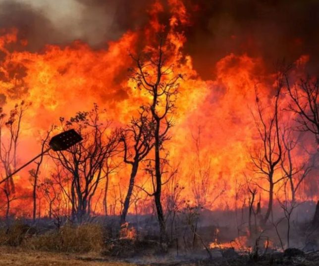 Queimadas fazem interrupções de energia dispararem no Brasil; Norte concentra 31% dos casos