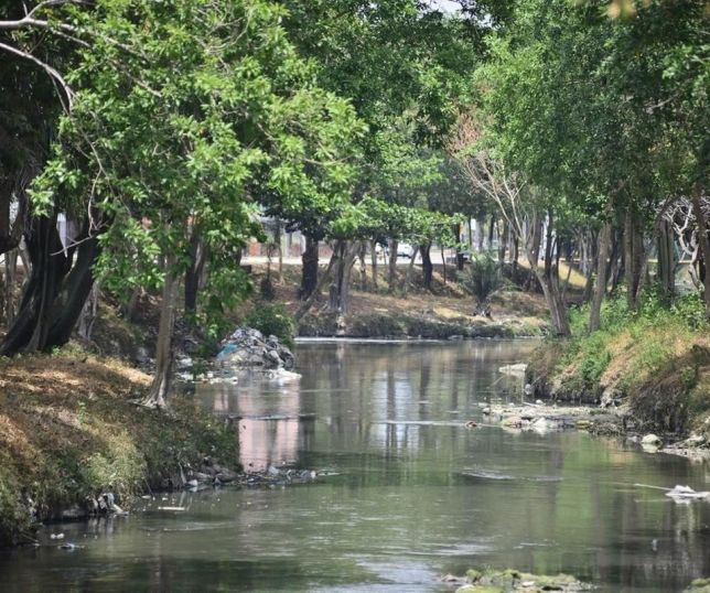 Poluição atinge maioria dos igarapés de Manaus e preocupa especialistas