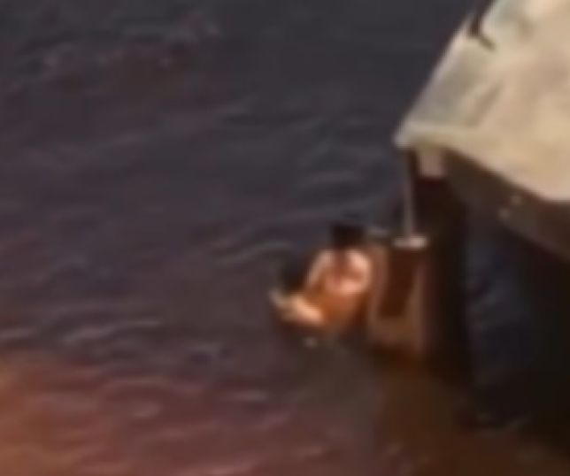 SÓ VENDO PARA CRER! Casal é flagrado mantendo relações sexuais em área do Rio Negro, em Manaus. VEJA VÍDEO