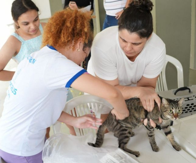 Vacinação contra a raiva segue em bairros de Manaus; veja onde levar cães e gatos