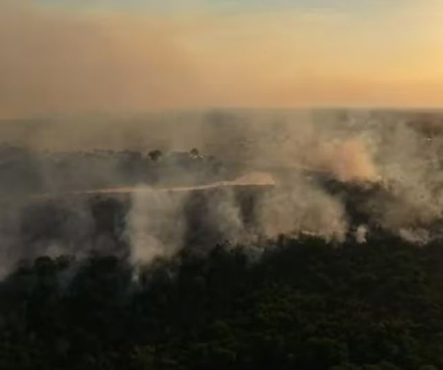 Incêndio florestal atinge trecho da BR-319 e bombeiros combatem chamas há três dias