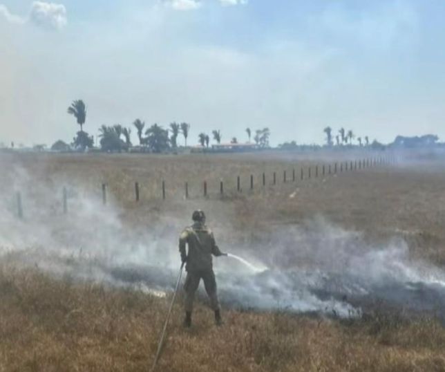 Incêndio de grandes proporções mobiliza bombeiros na BR-319, no Amazonas