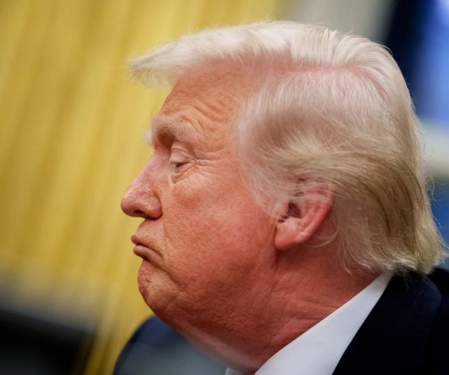 Trump diz que teve 100% de aproveitamento com candidatos que apoiou na América Latina