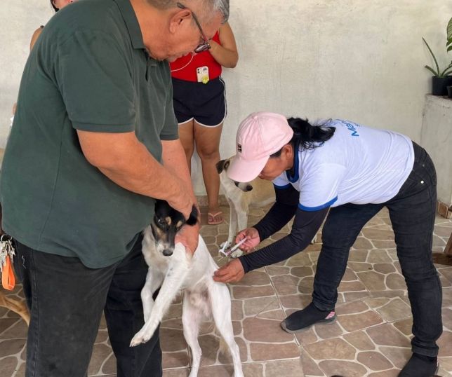 Vacinadores da Prefeitura de Manaus seguem com imunização de cães e gatos contra raiva nos bairros