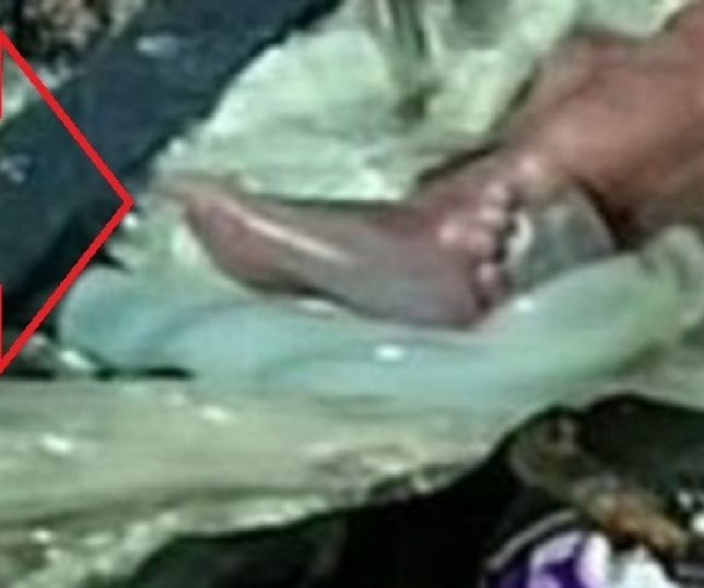 Garis e moradores em situação de rua encontram feto do sexo masculino em lixeira no Centro de Manaus