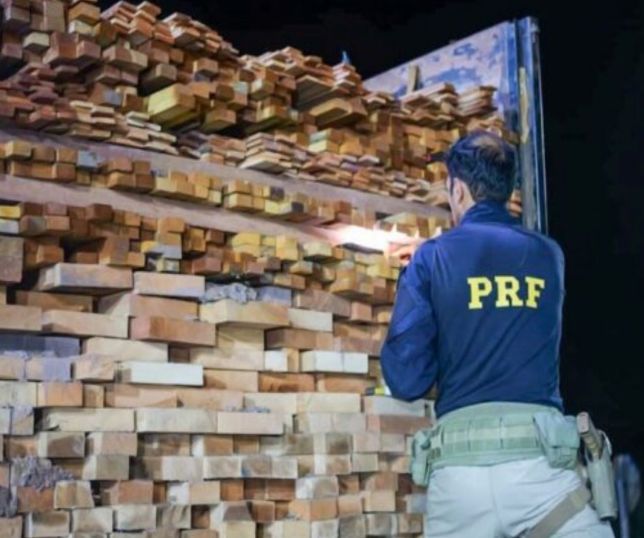 Operação da PRF apreende quase mil m³ de madeira e toneladas de pescado e minério em nove estados