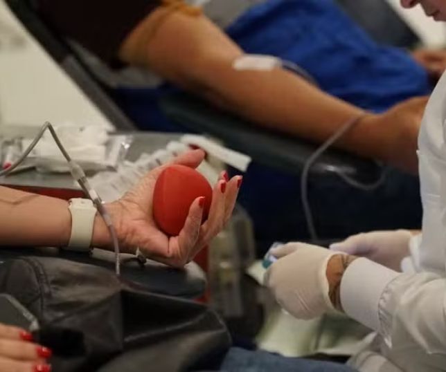 Doação de sangue: Maiores de 70 anos aptos e prazo menor para tatuagem; entenda o que muda a partir desta quarta