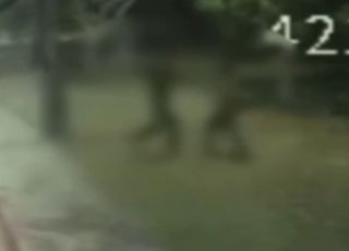 Motorista é preso suspeito de matar colega a facadas após discussão em Manaus. VEJA VÍDEO E REPORTAGEM DO 'PORTAL DO ZACARIAS' O VIVO