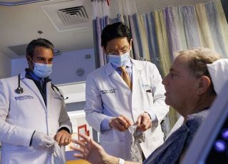 Homem vive 271 dias com rim de porco antes de receber transplante humano