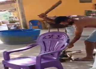 REVOLTA EM JACUNDÁ! Homem é flagrado agredindo cachorro e vídeo gera indignação: ‘Vamos compartilhar até chegar às autoridades’. VEJA AS IMAGENS