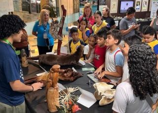 Exposição gratuita apresenta animais da Amazônia e curiosidades sobre insetos em Manaus