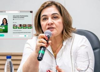 Justiça Eleitoral manda Maria do Carmo Seffair retirar páginas de campanha do Twibbonize