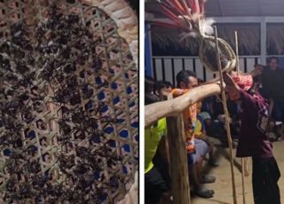 Ritual da tucandeira volta a viralizar e impressiona pelas tradições do povo sateré-mawé. VEJA VÍDEO