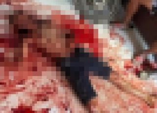 IMAGENS FORTES! Homem é morto a facadas dentro de residência na divisa de bairros em Petrolina. VEJA VÍDEO