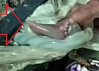 Garis e moradores em situação de rua encontram feto do sexo masculino em lixeira no Centro de Manaus