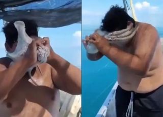 Homem quase sufoca após polvo grudar no rosto durante pescaria. VEJA VÍDEO