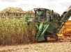 Marrocos deve fornecer 3,8 milhões de toneladas de fertilizantes ao Brasil