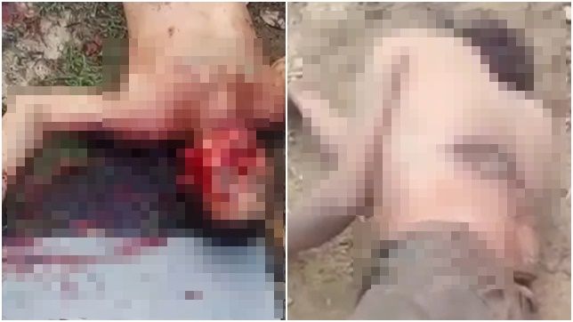 IMAGENS FORTES! DOIS HOMENS SÃO ASSASSINADOS A TIROS E FACADAS EM SÍTIO DA RODOVIA AM-010 NA MADRUGADA DESTA SEXTA-FEIRA