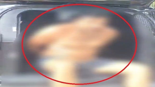 POLICIAIS DA DECCM PRENDEM HOMEM POR VIOLÊNCIA DOMÉSTICA CONTRA EX-COMPANHEIRA NO BAIRRO LAGO AZUL, ZONA NORTE DE MANAUS. VEJA VÍDEO