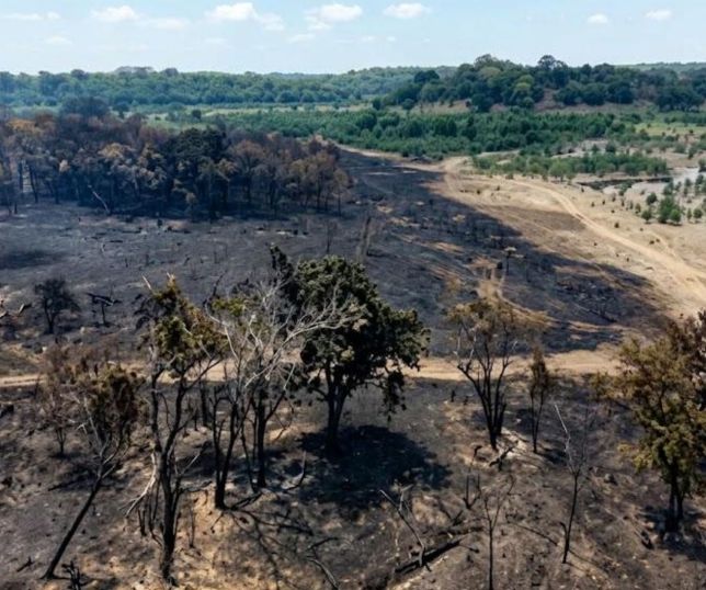 Incêndio de grandes proporções destrói 456 hectares de vegetação em Cacau Pirêra