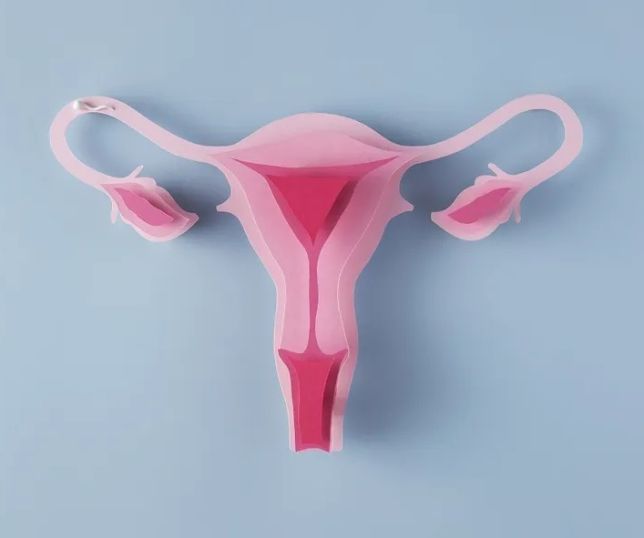 Endometriose: novo estudo ajuda a explicar a causa do problema que afeta 180 milhões de mulheres no mundo