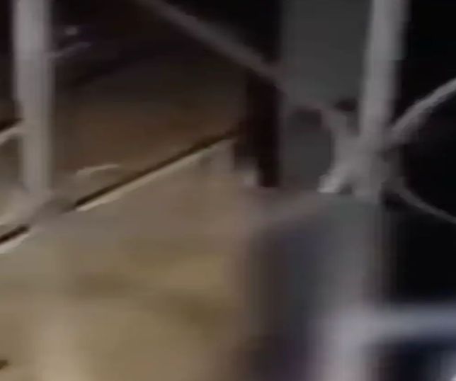 Morador denuncia ameaças após declarar apoio a Flávio Bolsonaro em Manacapuru. VEJA VÍDEO