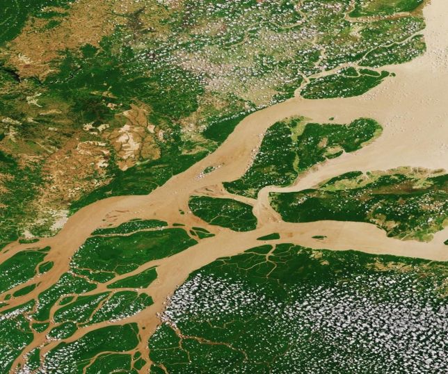 Estudo revela como o rio Amazonas aumenta a capacidade do Atlântico de absorver CO2