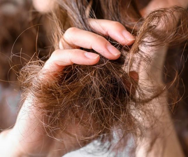 Scab hair: entenda por que o cabelo pode nascer áspero, seco e difícil de cuidar