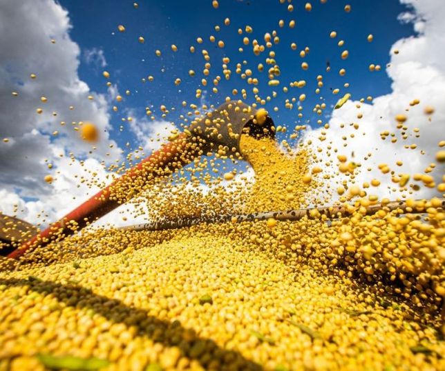 Safra brasileira deve superar 367 milhões de toneladas mesmo com riscos do El Niño