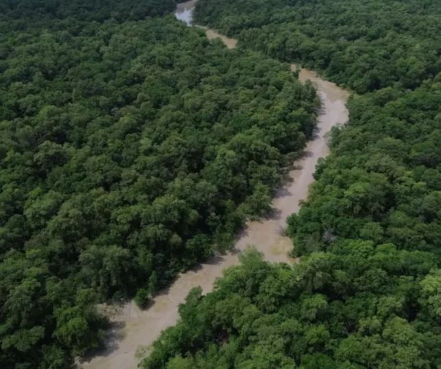 Desmatamento atinge menor nível histórico na Amazônia e no Cerrado, aponta Inpe