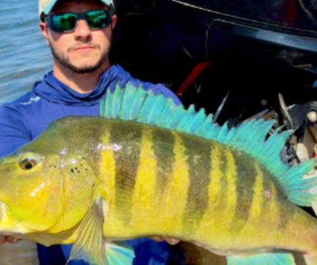 Pescador bate recorde de maior Tucunaré Azul no Rio Paranaíba
