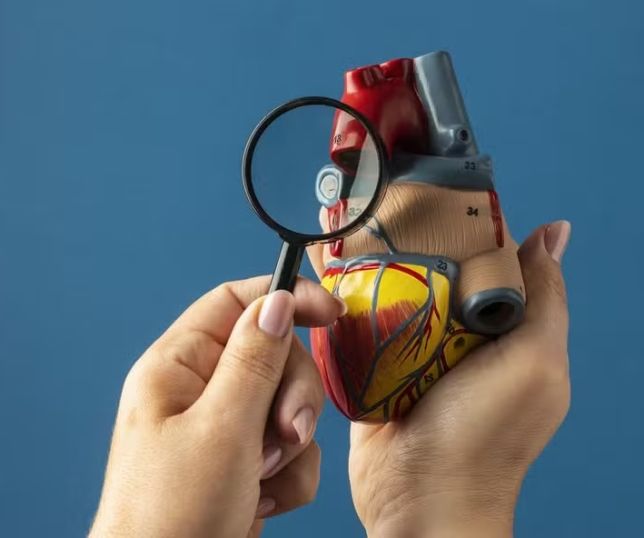 Mortes por doenças cardiovasculares podem aumentar 10,8% no Brasil até 2030