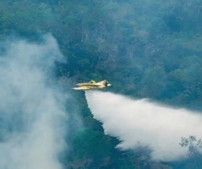 Forças federais já extinguiram mais de 300 incêndios florestais no Amazonas