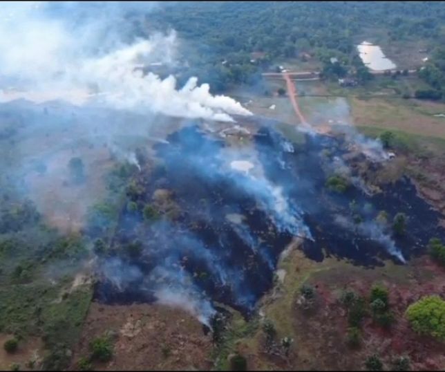 Operação Tamoiotatá prende homem por provocar incêndio em área de vegetação no Careiro, Região Metropolitana de Manaus. VEJA VÍDEO