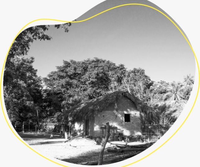 Fumaça sufoca comunidades quilombolas no Amazonas em meio a recordes de queimadas e queda histórica no desmatamento 