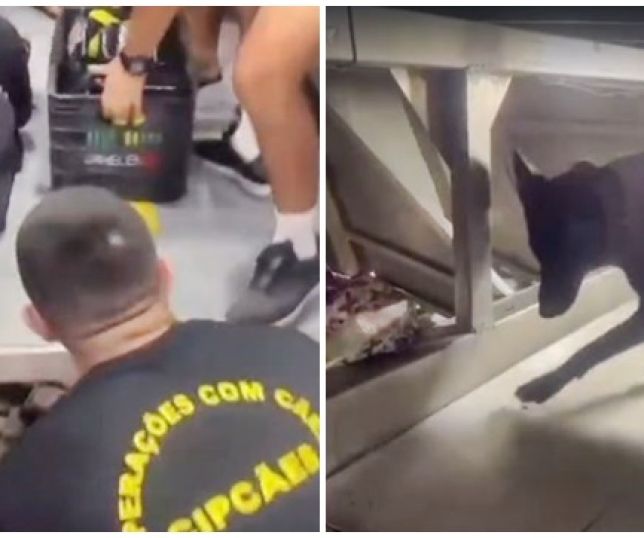Policiais da Base Arpão apreendem 41 tabletes de pasta-base de cocaína durante abordagem a embarcação no município de Coari, interior do Amazonas