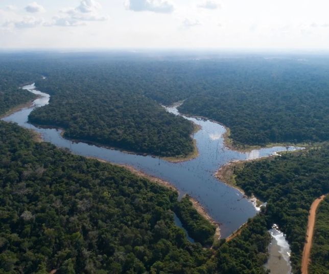 Aquecimento acelerado e secas extremas colocam a Amazônia em alerta para risco de colapso
