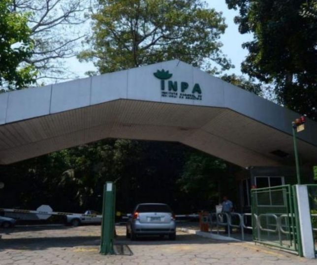 Mestrados gratuitos no Amazonas têm inscrições abertas até novembro; veja como participar
