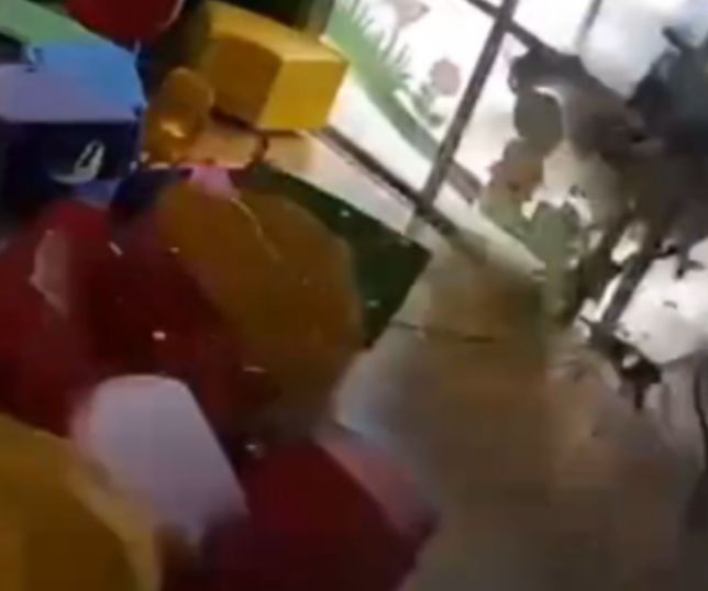 Câmeras registram queda de avião agrícola que destruiu parede de creche em Mato Grosso. VEJA VÍDEO