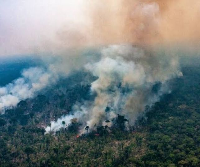Fumaça sufoca moradores no interior do Amazonas e expõe riscos à saúde em meio a 2,3 mil focos de incêndio