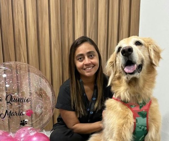 'Outubro Rosa Pet': saiba como identificar sintomas do câncer de mama em animais de estimação