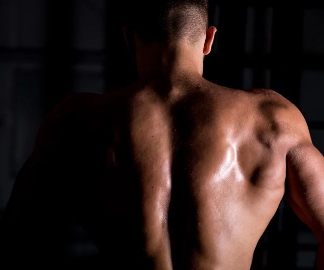 Estudo relaciona consumo de proteína animal a níveis mais baixos de testosterona
