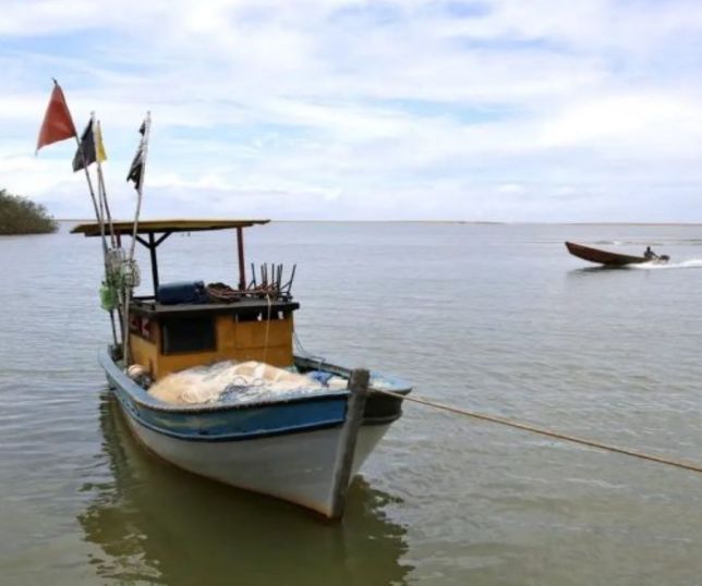 Pesca na foz do Rio Doce é retomada após uma década de restrições