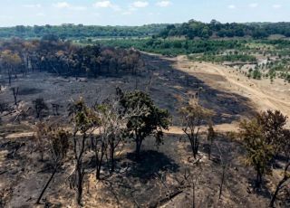 Incêndio de grandes proporções destrói 456 hectares de vegetação em Cacau Pirêra
