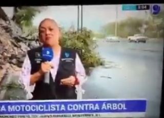 Repórter e cinegrafista são atropelados durante programa ao vivo no México. VEJA VÍDEO