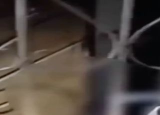 Morador denuncia ameaças após declarar apoio a Flávio Bolsonaro em Manacapuru. VEJA VÍDEO