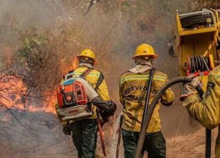 Ministro vê sinais de incêndios criminosos em áreas preservadas do Amazonas